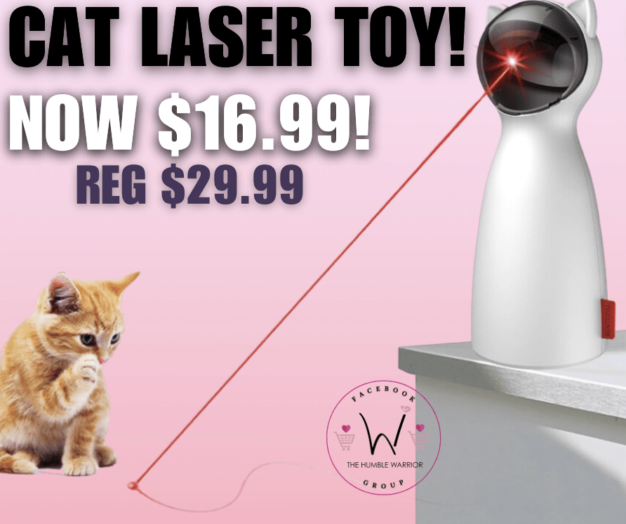 Cat Automatic Laser Toy!